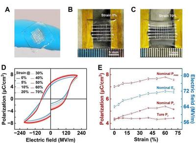 可穿戴!我国科学家率先打造出有弹性的铁电材料